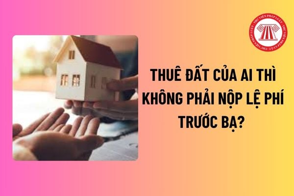 Thuê đất của ai thì không phải nộp lệ phí trước bạ? Cách ghi Tờ khai lệ phí trước bạ nhà đất chính xác nhất? 