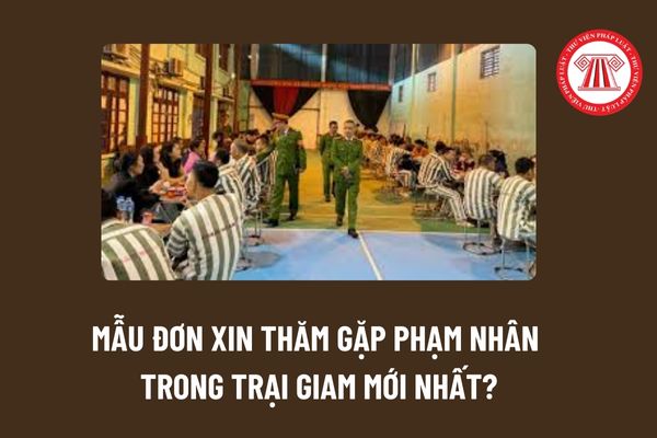 Mẫu đơn xin thăm gặp phạm nhân trong trại giam mới nhất? Cách viết đơn xin thăm gặp phạm nhân? 