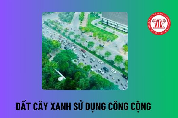 Đất cây xanh sử dụng công cộng là gì? Thiết kế quy hoạch cây xanh sử dụng công cộng đô thị phải đảm bảo các yêu cầu nào?