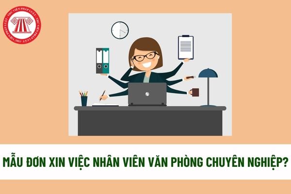 Mẫu đơn xin việc nhân viên văn phòng chuyên nghiệp? Cách viết đơn xin việc nhân viên văn phòng thu hút nhà tuyển dụng? 