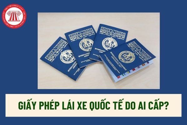 Giấy phép lái xe quốc tế do ai cấp? Hạng xe được phép điều khiển của GPLX quốc tế có giống với các hạng xe của GPLX quốc gia do Việt Nam cấp? 