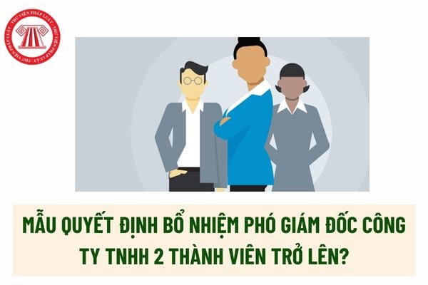 Mẫu Quyết định bổ nhiệm phó giám đốc công ty TNHH 2 thành viên trở lên? Phó giám đốc điều hành là gì? 