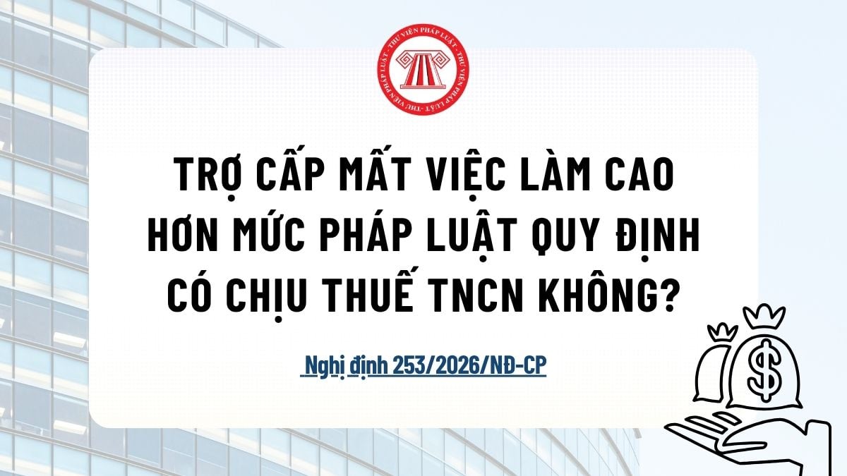 Pháp luật