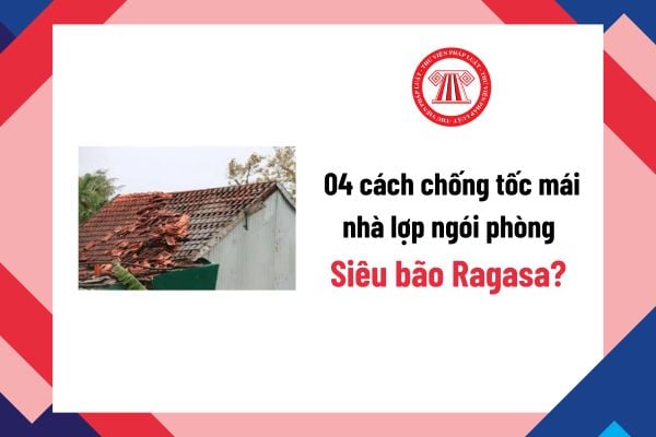 Pháp luật