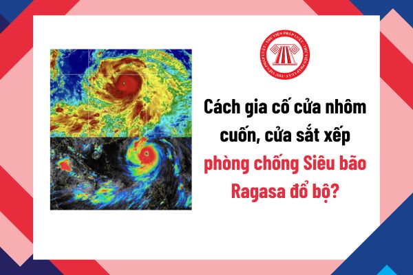 Pháp luật