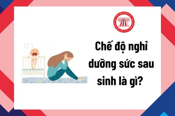 Pháp luật