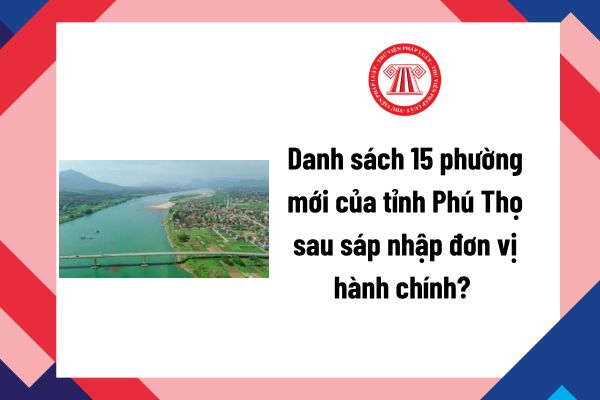 Pháp luật