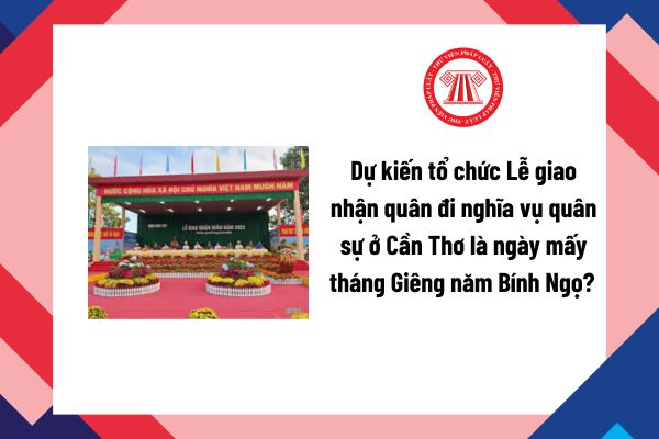 Pháp luật