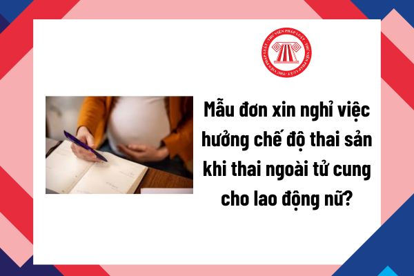 Lao Động Tiền Lương