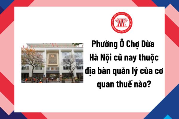 Pháp luật