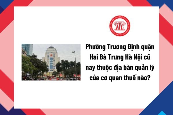 Pháp luật