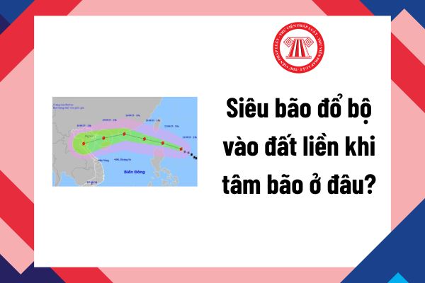 Pháp luật