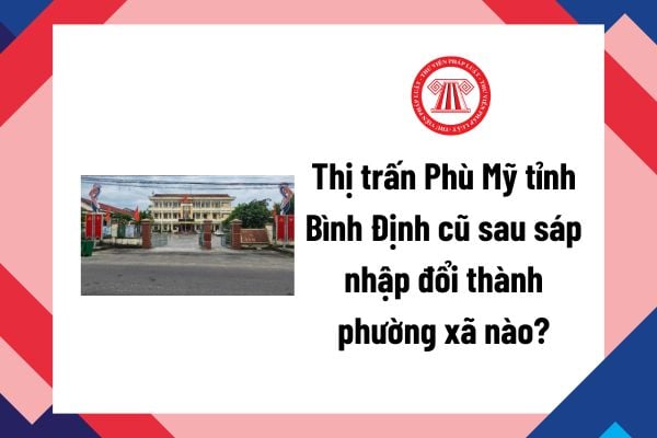 Pháp luật