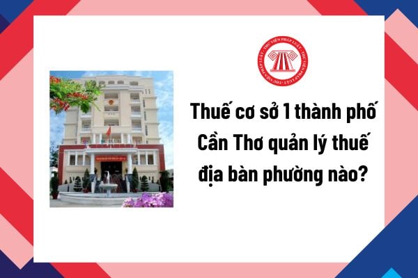 Pháp luật