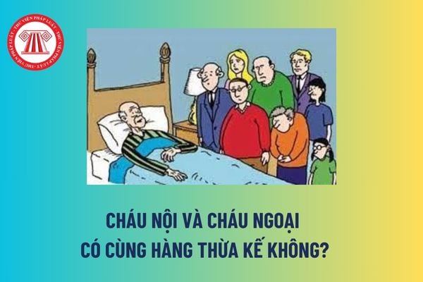 Cháu nội và cháu ngoại có cùng hàng thừa kế không? Cháu nội có được hưởng thừa kế nhiều hơn người cháu ngoại không?