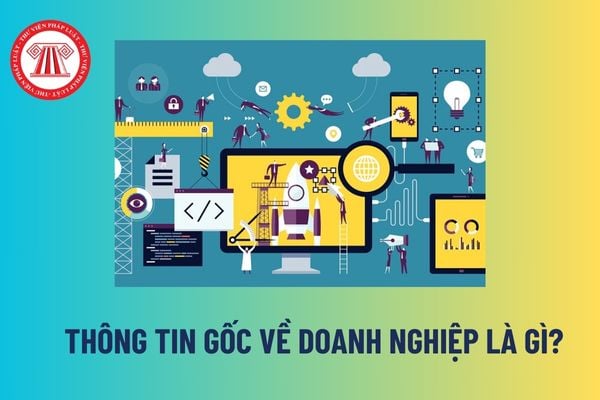 Thông tin gốc về doanh nghiệp là gì? Ngành nghề kinh doanh có được ghi nhận vào Cơ sở dữ liệu quốc gia về đăng ký doanh nghiệp? 