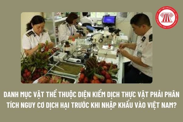 Danh mục vật thể thuộc diện kiểm dịch thực vật phải phân tích nguy cơ dịch hại trước khi nhập khẩu vào Việt Nam?