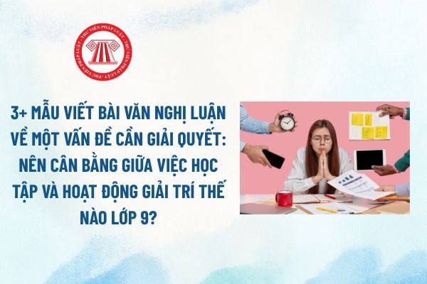 Pháp luật