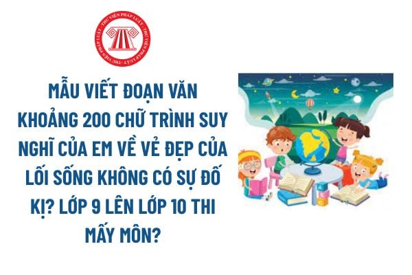 Pháp luật