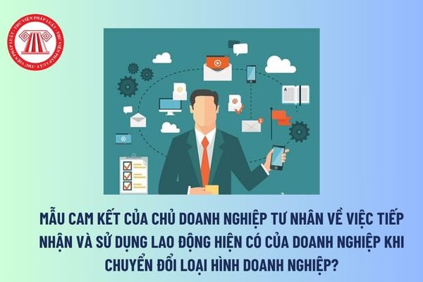 Mẫu cam kết của chủ doanh nghiệp tư nhân về việc tiếp nhận và sử dụng lao động hiện có của doanh nghiệp khi chuyển đổi loại hình doanh nghiệp? 