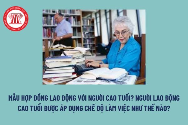 Mẫu hợp đồng lao động với người cao tuổi? Người lao động cao tuổi được áp dụng chế độ làm việc như thế nào?