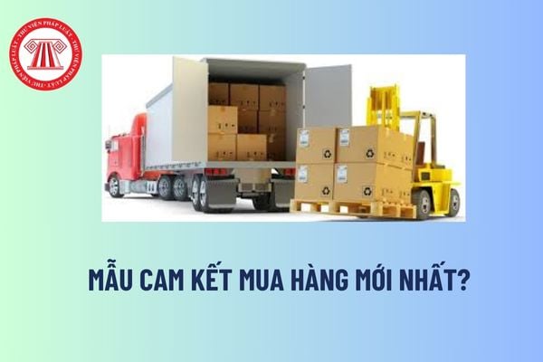 Mẫu cam kết mua hàng mới nhất? Bên mua có nghĩa vụ thanh toán tiền mua hàng và nhận hàng thế nào? 