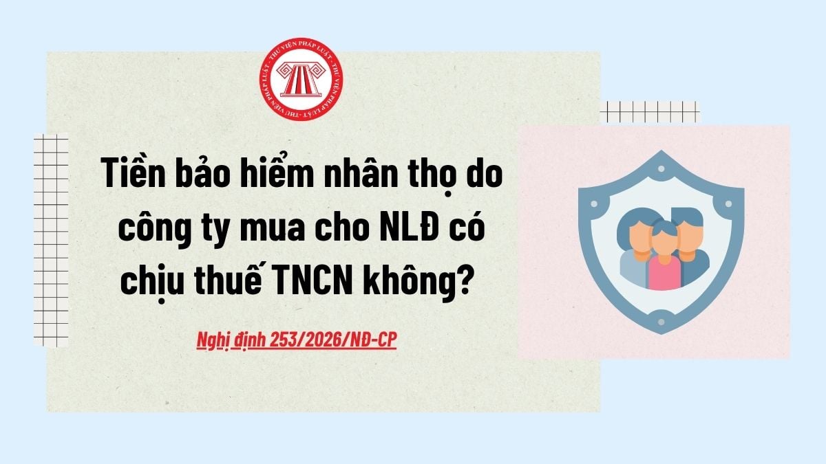 Pháp luật