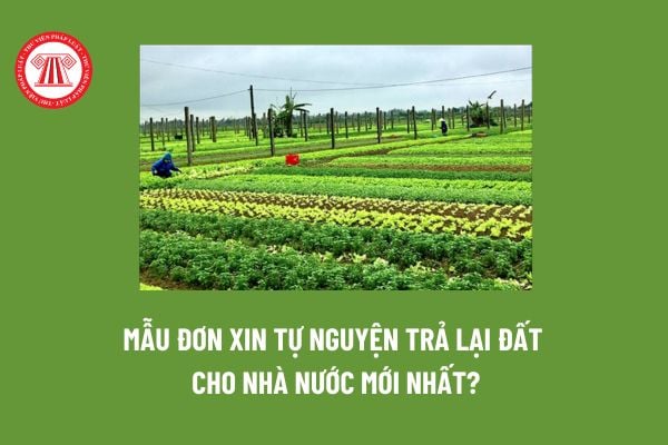 Mẫu Đơn xin tự nguyện trả lại đất cho Nhà nước mới nhất? Lưu ý khi viết Đơn xin tự nguyện trả lại đất cho Nhà nước?