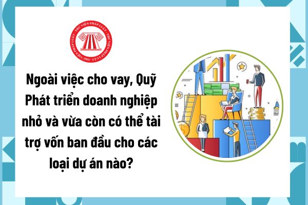Pháp luật