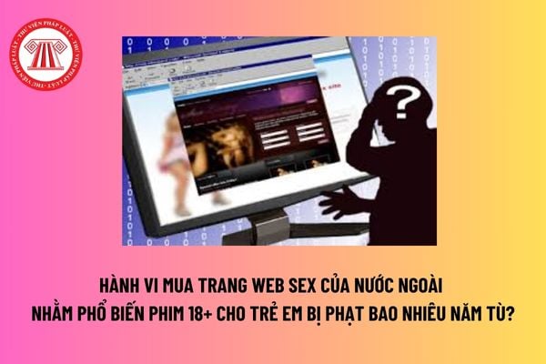 Hành vi mua trang web sex của nước ngoài nhằm phổ biến phim 18+ cho trẻ em bị phạt bao nhiêu năm tù? 