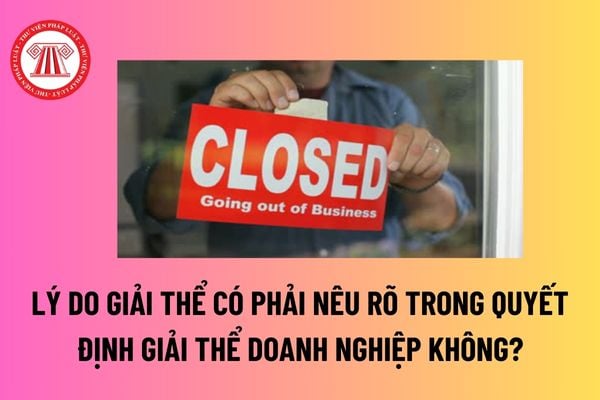 Lý do giải thể có phải nêu rõ trong quyết định giải thể doanh nghiệp không? Có được giải thể trong quá trình giải quyết tranh chấp tại Tòa án? 