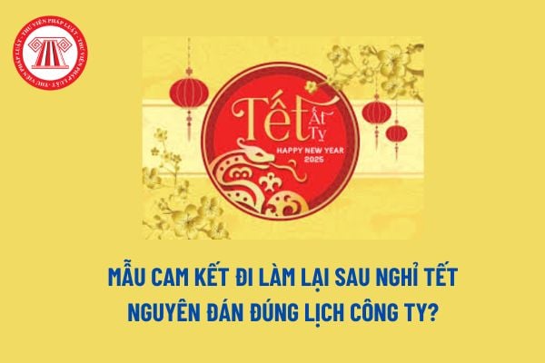 Mẫu Cam kết đi làm lại sau nghỉ Tết Nguyên đán