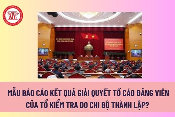 Mẫu báo cáo kết quả giải quyết tố cáo đảng viên của tổ kiểm tra do chi bộ thành lập? Tải mẫu tại đâu? 