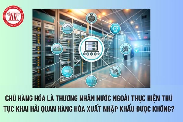 Chủ hàng hóa là thương nhân nước ngoài thực hiện thủ tục khai hải quan hàng hóa xuất nhập khẩu được không?