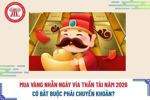 Pháp luật