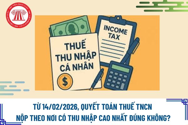 Pháp luật