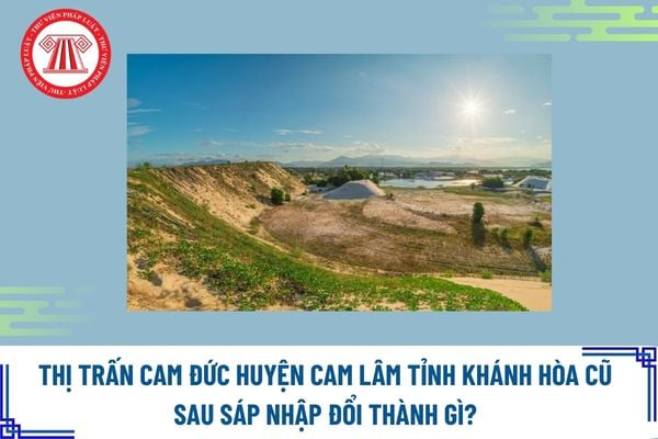 Pháp luật