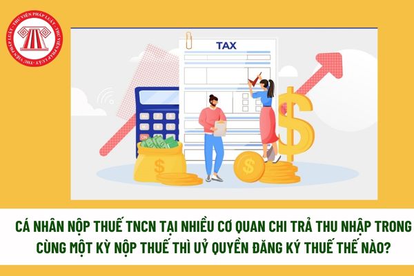 Pháp luật