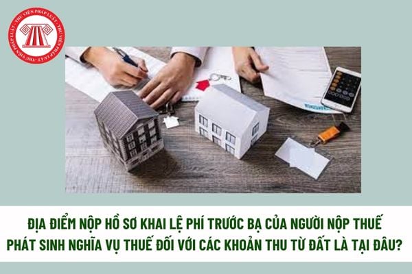 Pháp luật