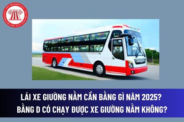 Lái xe giường nằm cần bằng gì năm 2025? Bằng D có chạy được xe giường nằm không? Thời hạn của bằng D mới là bao lâu?