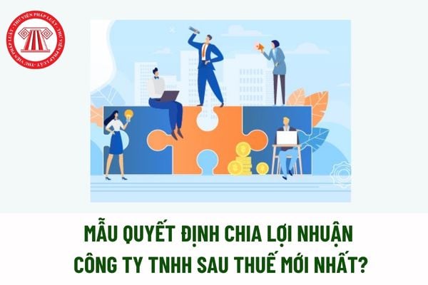 Mẫu quyết định chia lợi nhuận công ty TNHH sau thuế mới nhất? Lợi nhuận đã chia sẽ bị thu hồi trong trường hợp nào? 