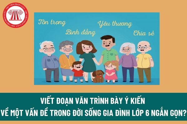 Viết đoạn văn trình bày ý kiến về một vấn đề trong đời sống gia đình lớp 6 ngắn gọn? Các hành vi nào học sinh lớp 6 bị cấm làm?