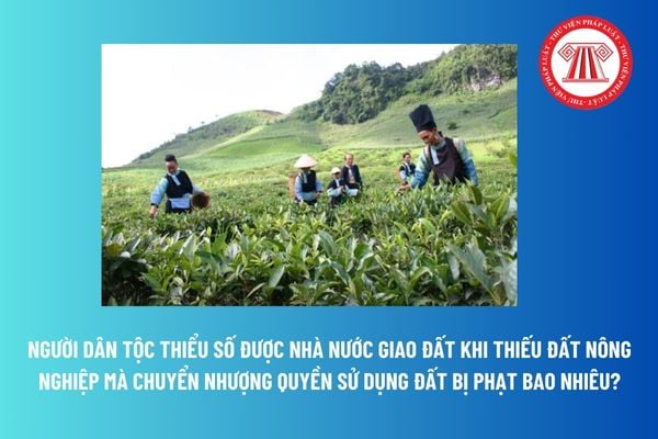 Người dân tộc thiểu số được Nhà nước giao đất khi thiếu đất nông nghiệp mà chuyển nhượng quyền sử dụng đất bị phạt bao nhiêu? 