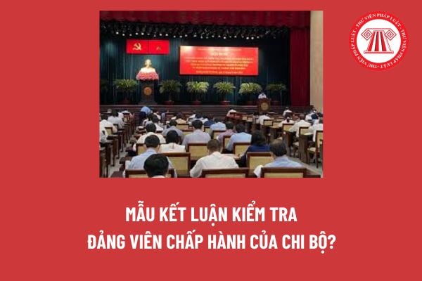 Mẫu Kết luận kiểm tra đảng viên chấp hành của Chi bộ? Tải về mẫu kết luận kiểm tra đảng viên của chi bộ mới nhất?