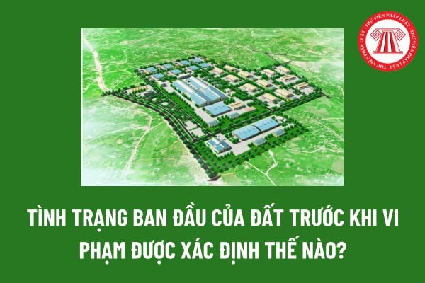 Tình trạng ban đầu của đất trước khi vi phạm là gì? Tình trạng ban đầu của đất trước khi vi phạm được xác định thế nào? 