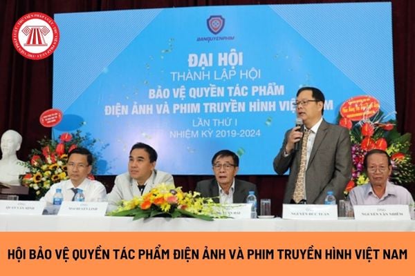 Ban Kiểm tra Hội Bảo vệ quyền tác phẩm điện ảnh và Phim truyền hình Việt Nam có những nhiệm vụ và quyền hạn gì?