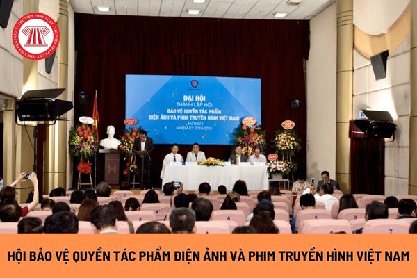 Hội Bảo vệ quyền tác phẩm điện ảnh và Phim truyền hình Việt Nam hoạt động dưới sự quản lý của cơ quan nào?