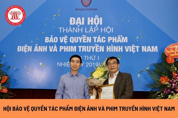 Hội Bảo vệ quyền tác phẩm điện ảnh và Phim truyền hình Việt Nam sử dụng tài chính cho những hoạt động nào?