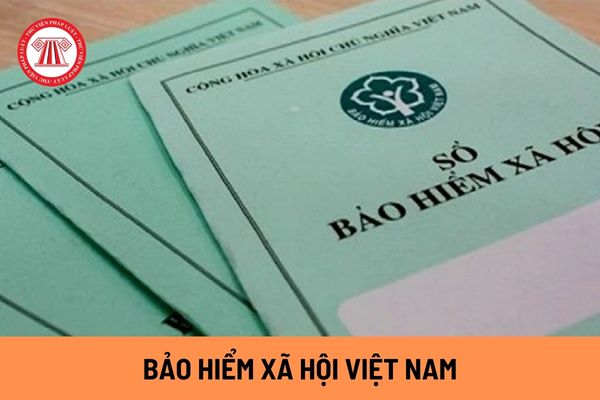 Phòng Kế hoạch Tổng hợp thuộc Vụ Tài chính Kế toán, Bảo hiểm xã hội Việt Nam tổ chức thực hiện những nhiệm vụ nào?