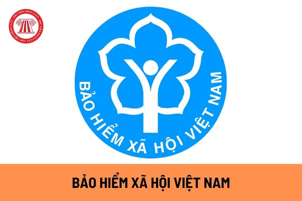 Phòng Quản lý chi bảo hiểm thuộc Vụ Tài chính Kế toán, Bảo hiểm xã hội Việt Nam tổ chức thực hiện những nhiệm vụ nào?